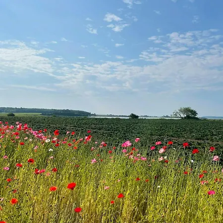 Casa vacanze With View Of Helnaes Bay Hårby