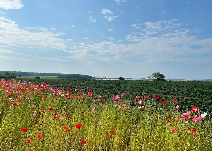 Дом отдыха With View Of Helnaes Bay Harby